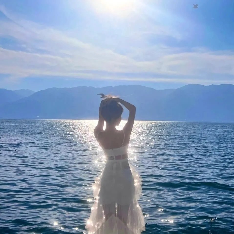 浴血黑帮第六季封面